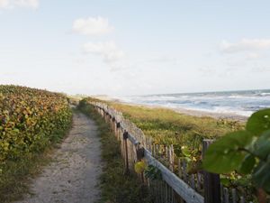 Photo of a coastal trail along a Florida beach at Blowing Rocks Preserve.