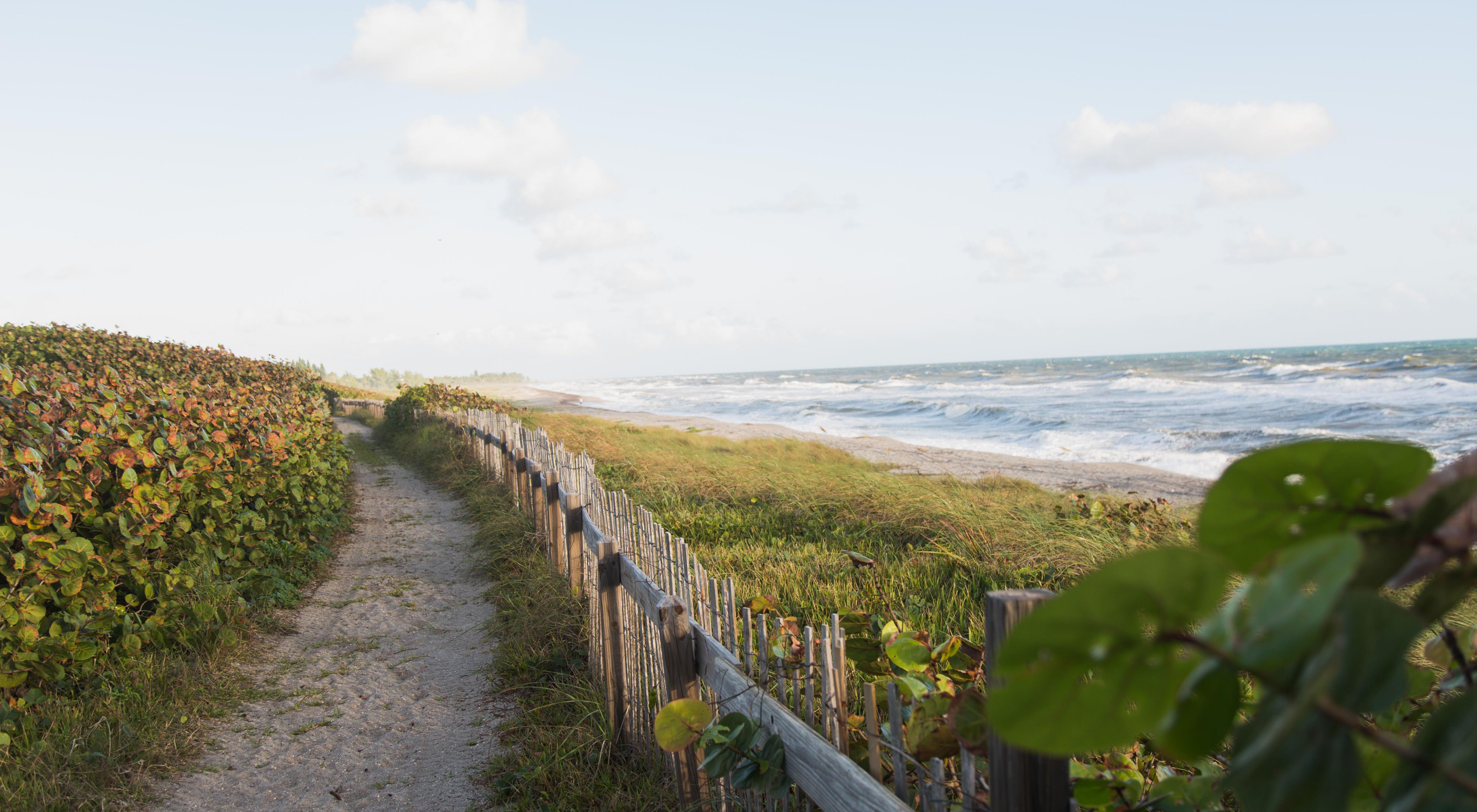A dune trail at The Nature Conservancy's Blowing Rocks Preserve on Jupiter Island, Florida.