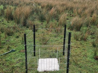 A flat, gray cement square sits in a grassy wetland area and is surrounded by a tall wire fence.