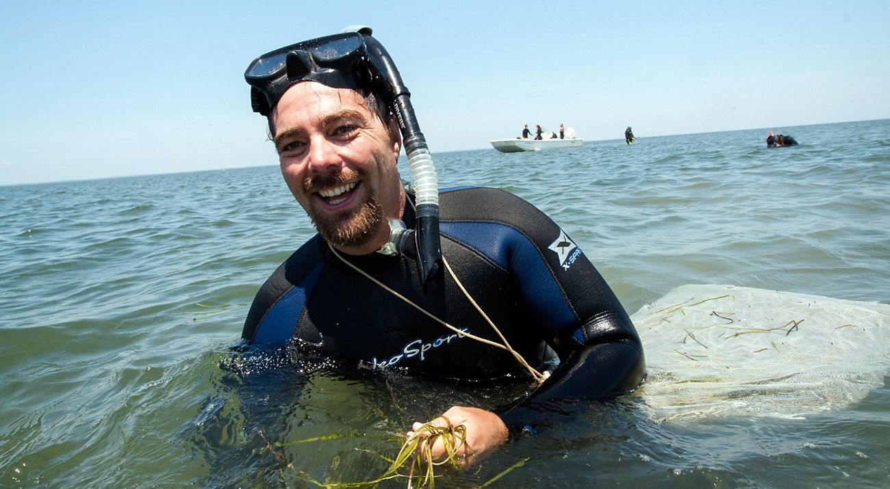 Virginia Coastal Scientist Bo Lusk works in an eelgrass meadow.