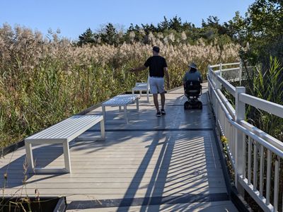 Two people walking on a boardwalk trail.