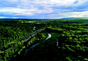 Aerial view of a river winding through a forest.