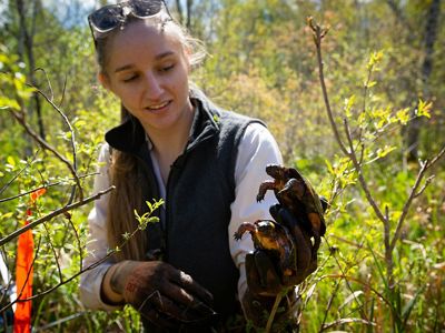 Close up of a woman smiling and surrounded by green brush in a wetland, holding up two small turtles in one hand.