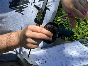 A person holds a turtle and a ruler over a notebook.
