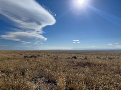 Vast grasslands that stretch into the horizon.