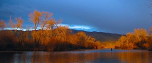 Sunlight illuminates a group of trees in a mountain landscape.
