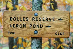 A wooden sign nailed to a tree that says Bolles Reserve and Heron Pond, with arrows.