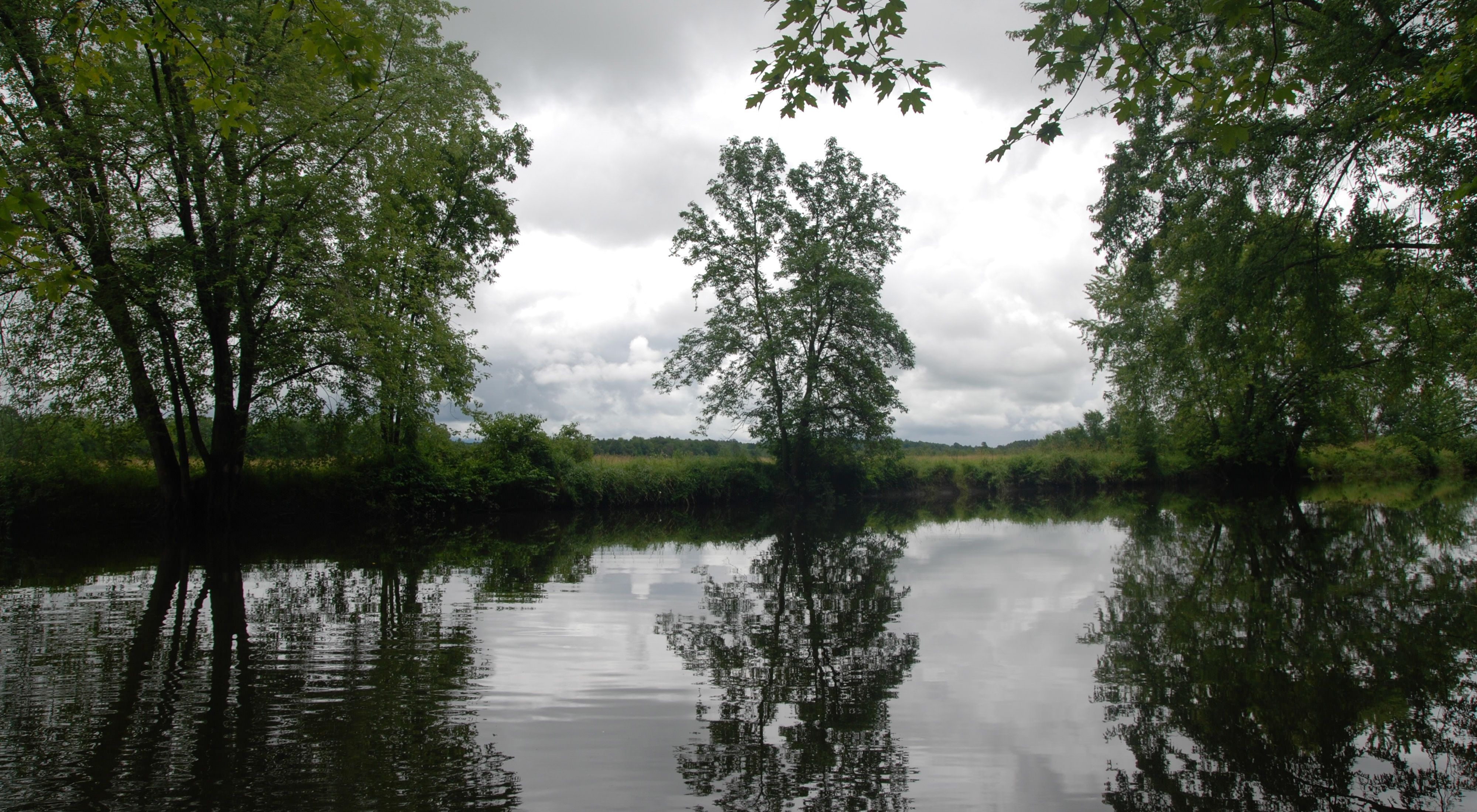 Bond Island in the Otter Creek Swamp complex was a candidate for development until the Conservancy and the Vermont Housing and Conservation Board stepped in to protect it.
