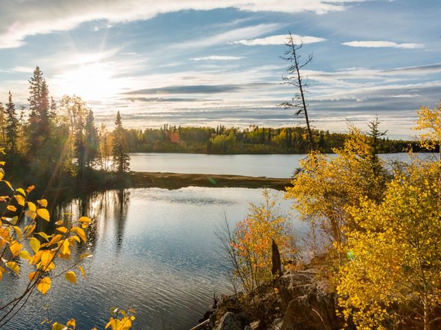 Boreal Forest