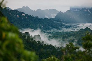 clouds settling in a mountainous forest landscape.
