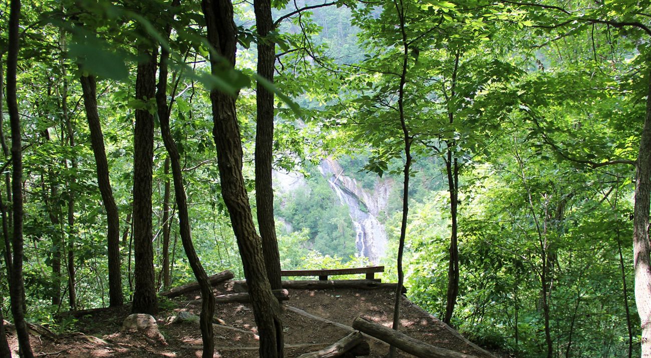 The foreground is filled with small green forest trees, with a background look at a waterfall.