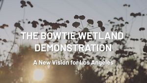 The Bowtie Project is a great example of a multi-benefit effort that captures and cleans storm water, enhances habitat, sequesters carbon, and provides recreational space. 