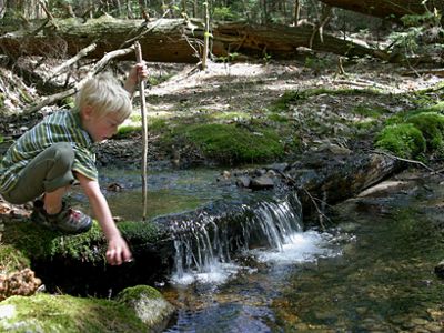 A boy puts his hand in a stream.