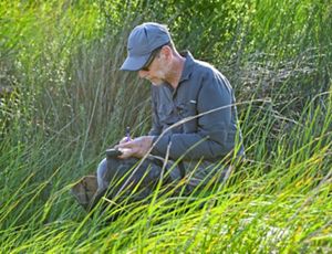 A researcher takes notes on a grassy slope.