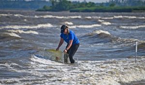 A researcher braves the surf to collect marine science data.