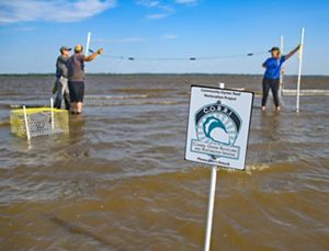 Three people stretch a rope across shallow surf.