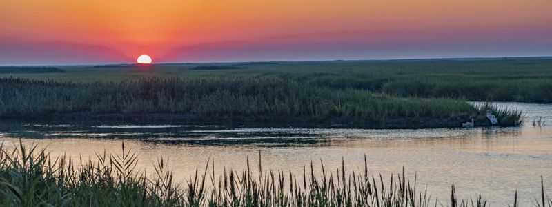 A sun rises over a body pf water creating an orange and pink sky.
