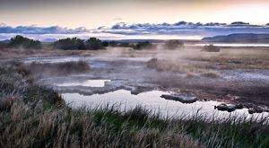Pools of water with mineral deposits around the edges and grasses growing on the shore.