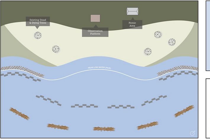 A proposed design for the Boyd Living Shoreline project in South Carolina.