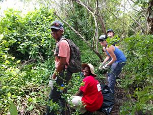 Volunteers remove invasive species from Blowing Rocks Preserve site.