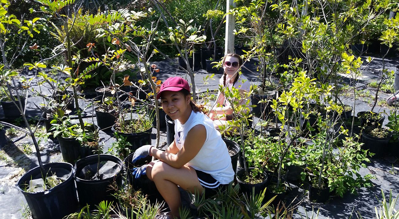 Volunteers work in the native plant nursery at Blowing Rocks Preserve.