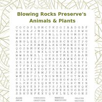 Blowing Rocks word search for different animals, plants, and habitats.