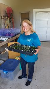 A blonde woman stands with a tray of seedlings in her hands.