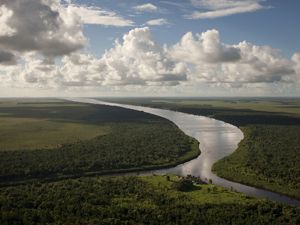 TNC imagina una cuenca amazónica sana, conectada y resiliente, en la que se mejore la biodiversidad y los ecosistemas de agua dulce, así como su contribución a las personas.