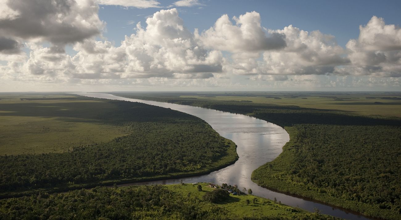 Foto aérea del Río Curipi encontrándose con el Río Uaçá en su camino hacia el Océano Atlántico, en la región indígena Oiapoque de la Amazonía brasileña.