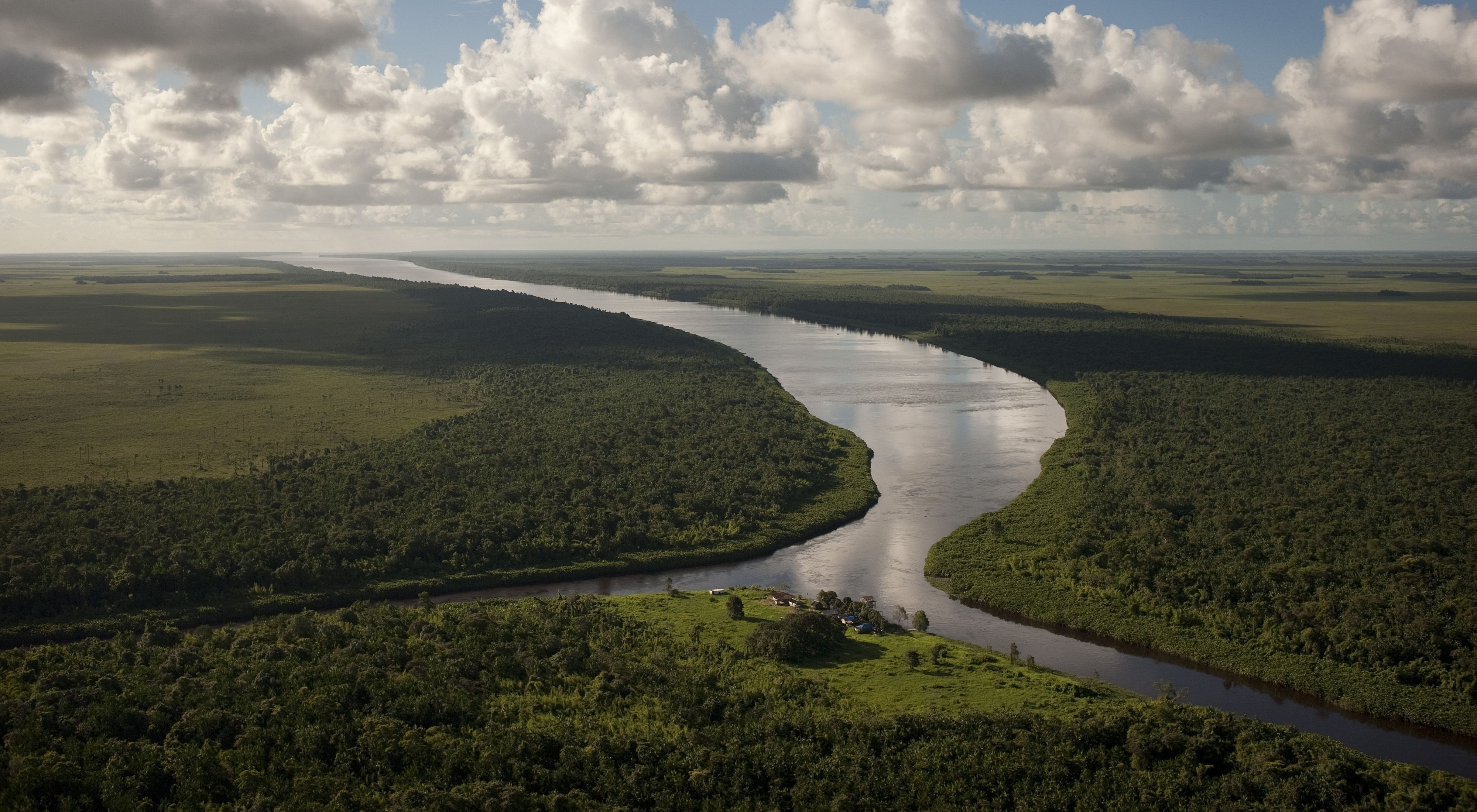 La Cuenca Amazónica: 