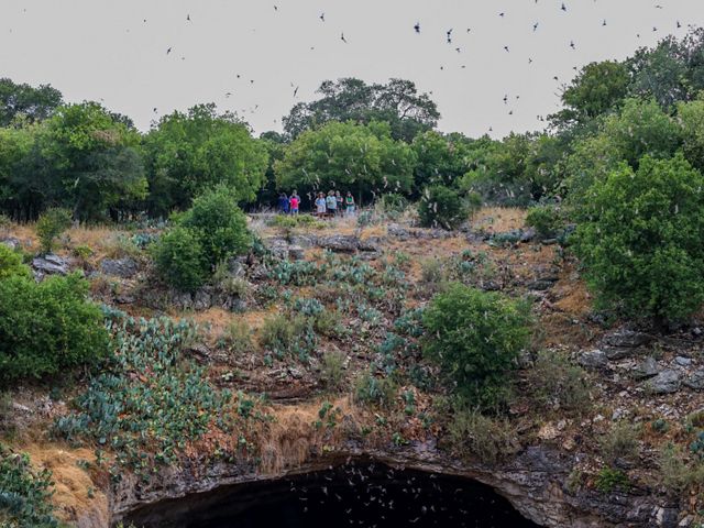 A group of people stand above a gaping entrance to a dark cave as bats emerge.