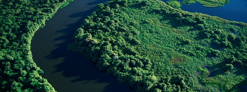 Pantanal National Park in Brazil.