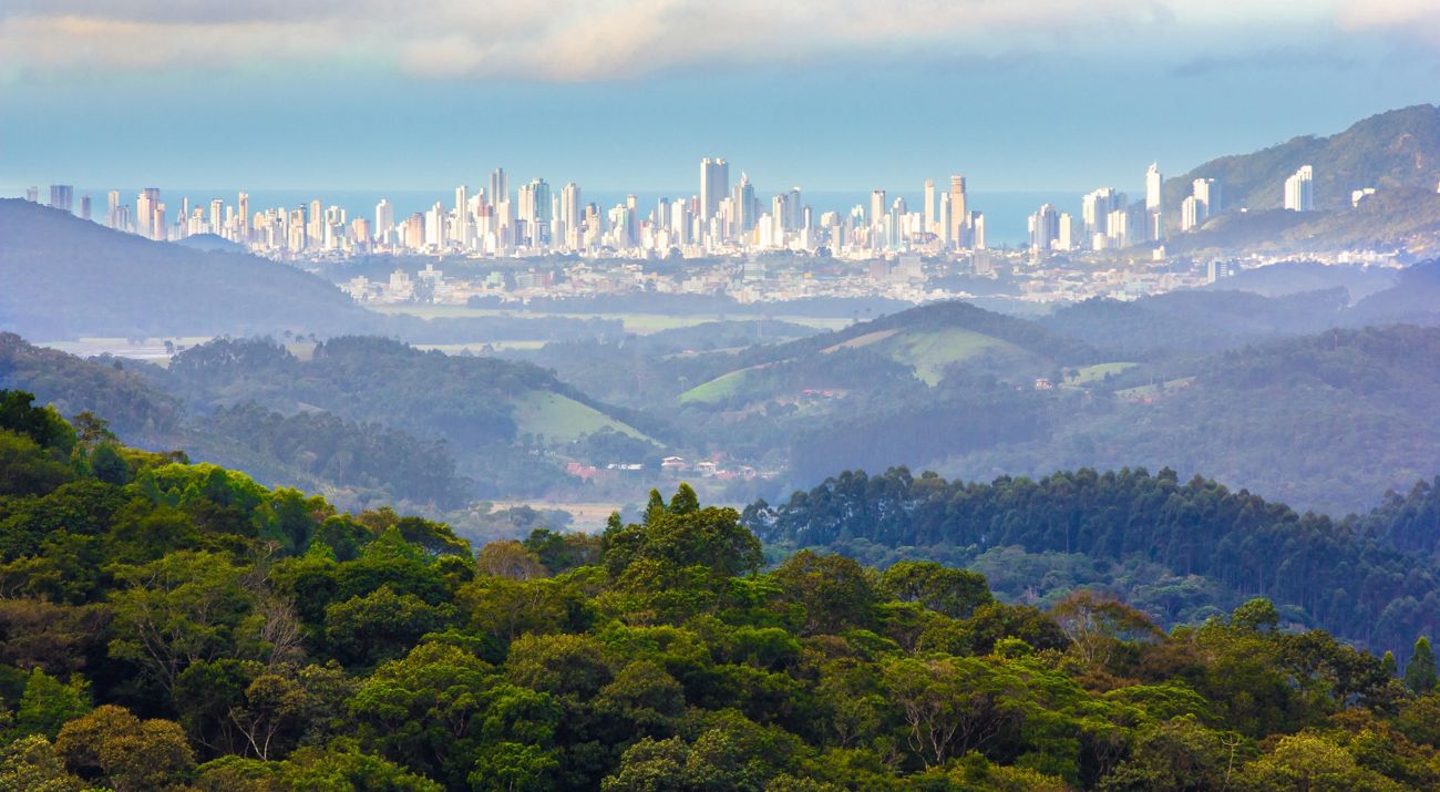 Forested hills in the foreground and a view of a skyline in the background