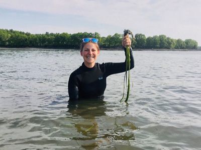 A woman in a wetsuit holding up clumps of eelgrass.