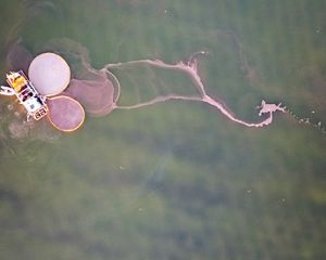 Aerial view of a brine shrimp boat and its nets.
