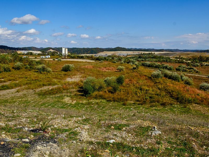 Image of green and brown mountain landscape.