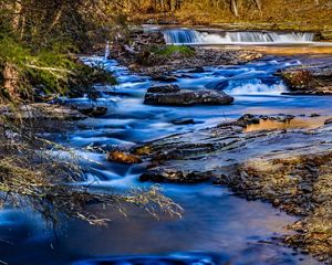 A view of a creek running through woods.