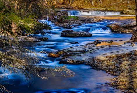 A view of a creek running through woods.
