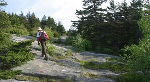 A person in a white shirt and hat wearing a red backpack hiking up a rock slab surrounded by trees.