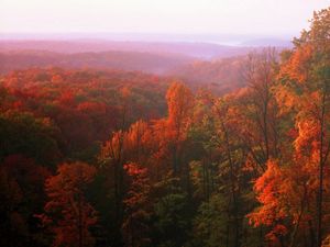 Fall foliage in the Brown County Hills, Indiana