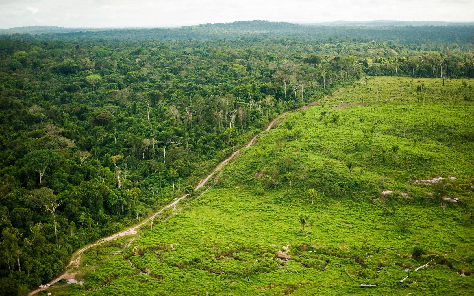 An aerial view showing deforestation for cattle ranching at São Félix do Xingu,