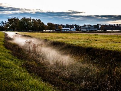 Brian Nusbaum is the owner of a 750-acre farm in Sherwood, Ohio (Western Lake Erie Basin), where he grows corn and soybeans. Nusbaum uses no-till and cover crop practices
