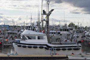 Fishing boats in a harbor.