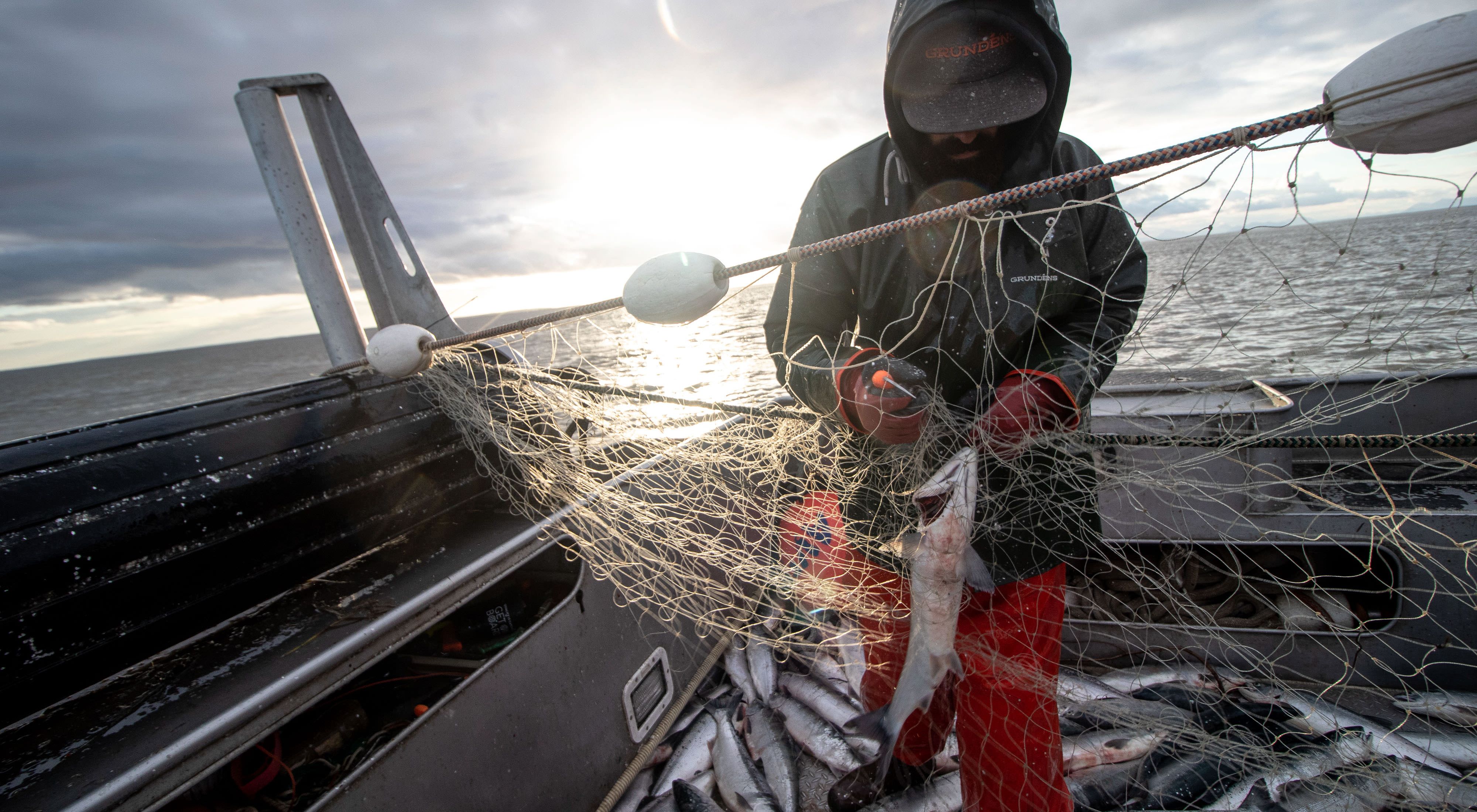 Commercial fishing at the height of the wild sockeye run in Alaska’s Bristol Bay.