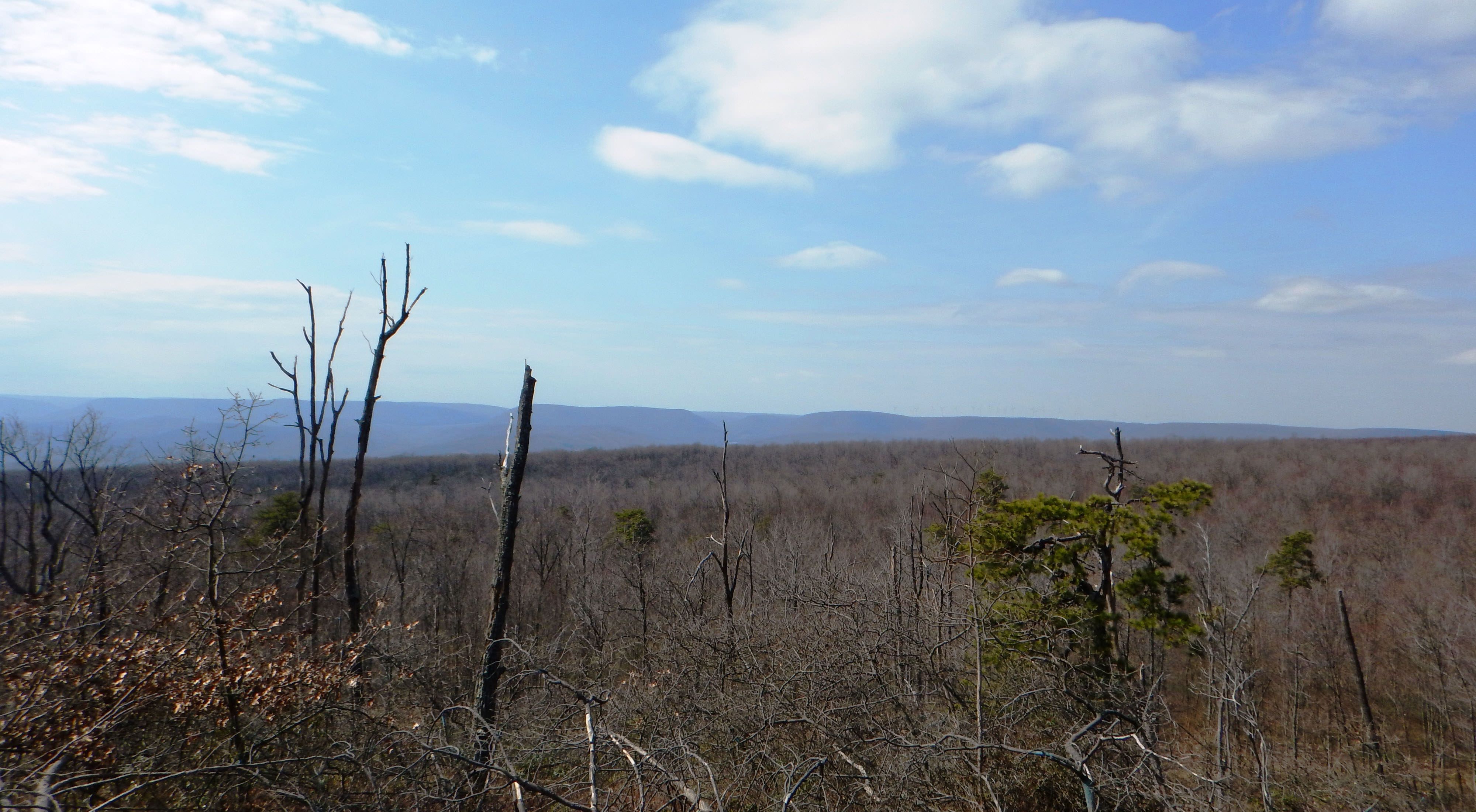 The bare tops of leafless trees in the foreground of a view that looks out over the top of a mountain to another mountain ridge in the far distance along the horizon.