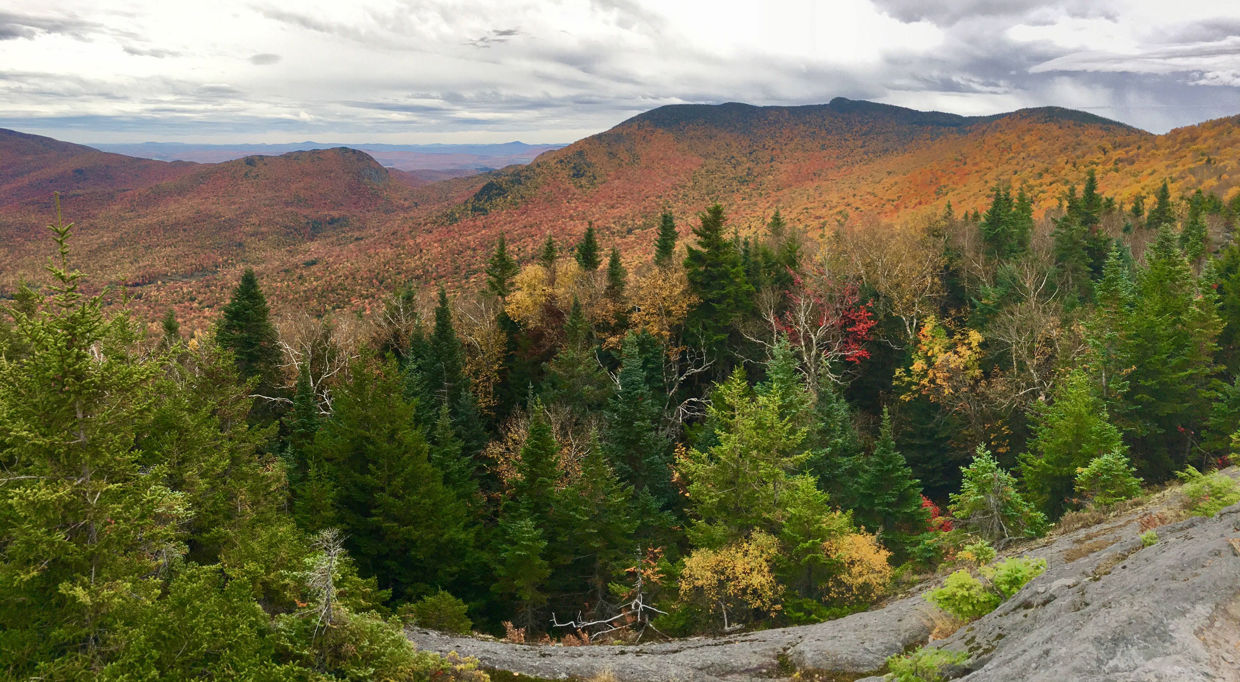 View of forests in fall foliage from Burnt Mountain, Vermont.