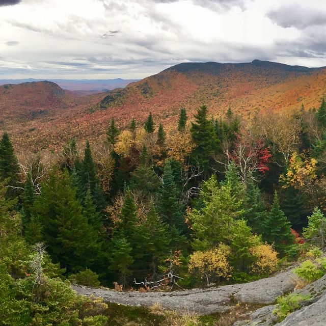 View of forests in fall foliage from Burnt Mountain, Vermont.