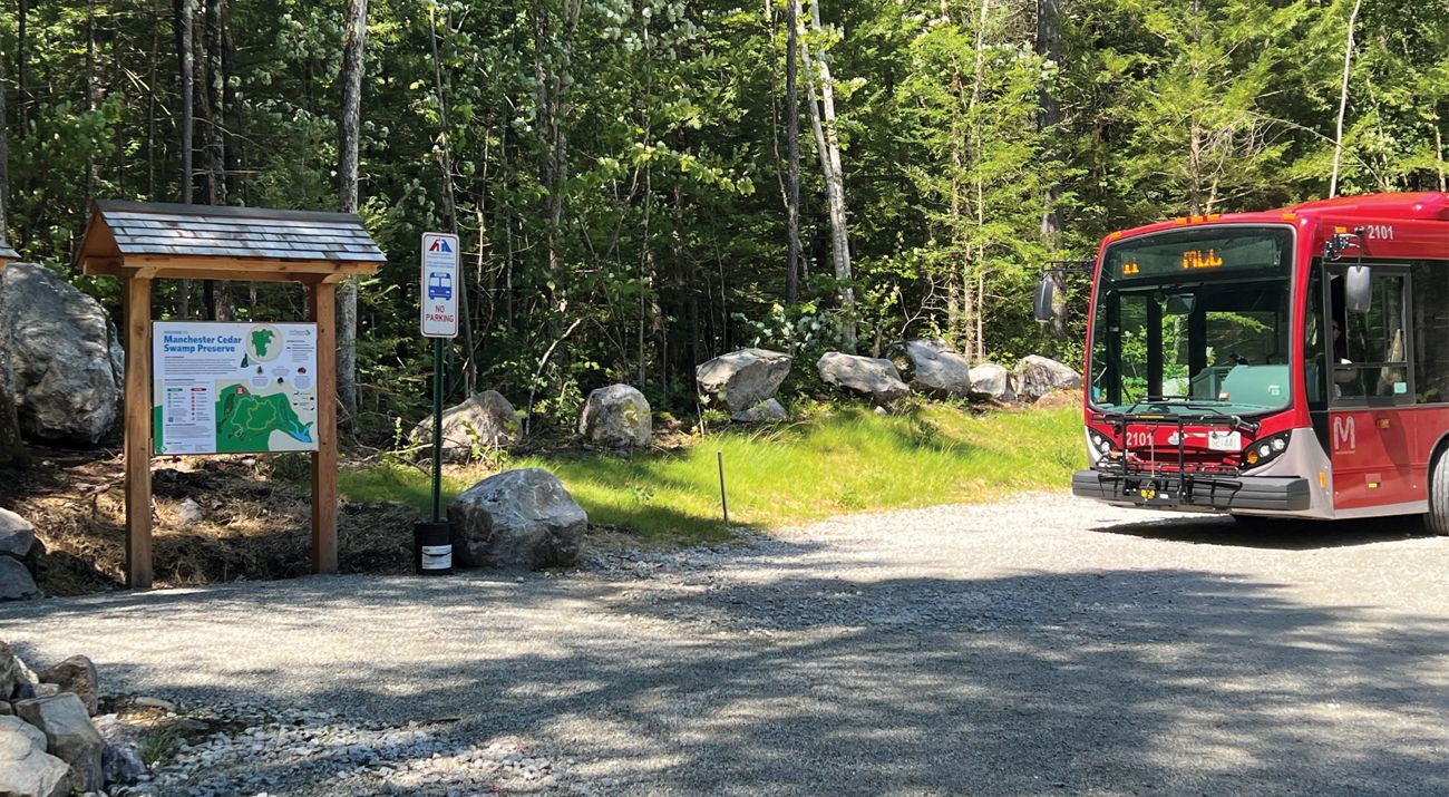 Bus stop near All Persons Trail