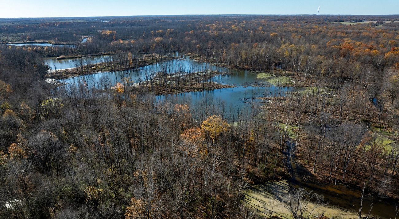 New Busseron Creek Fish & Wildlife Area.