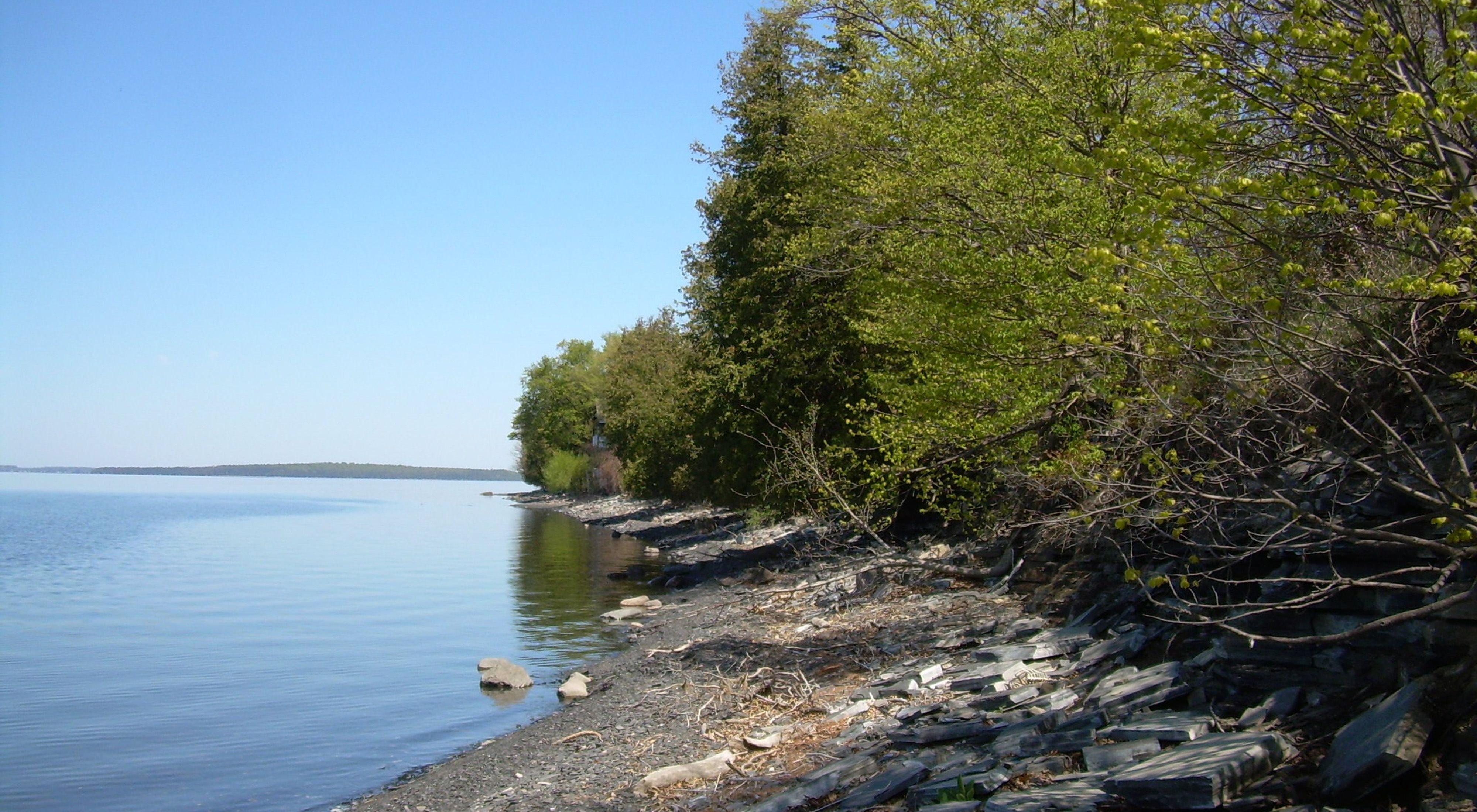 The wooded shoreline of Lake Champlain.